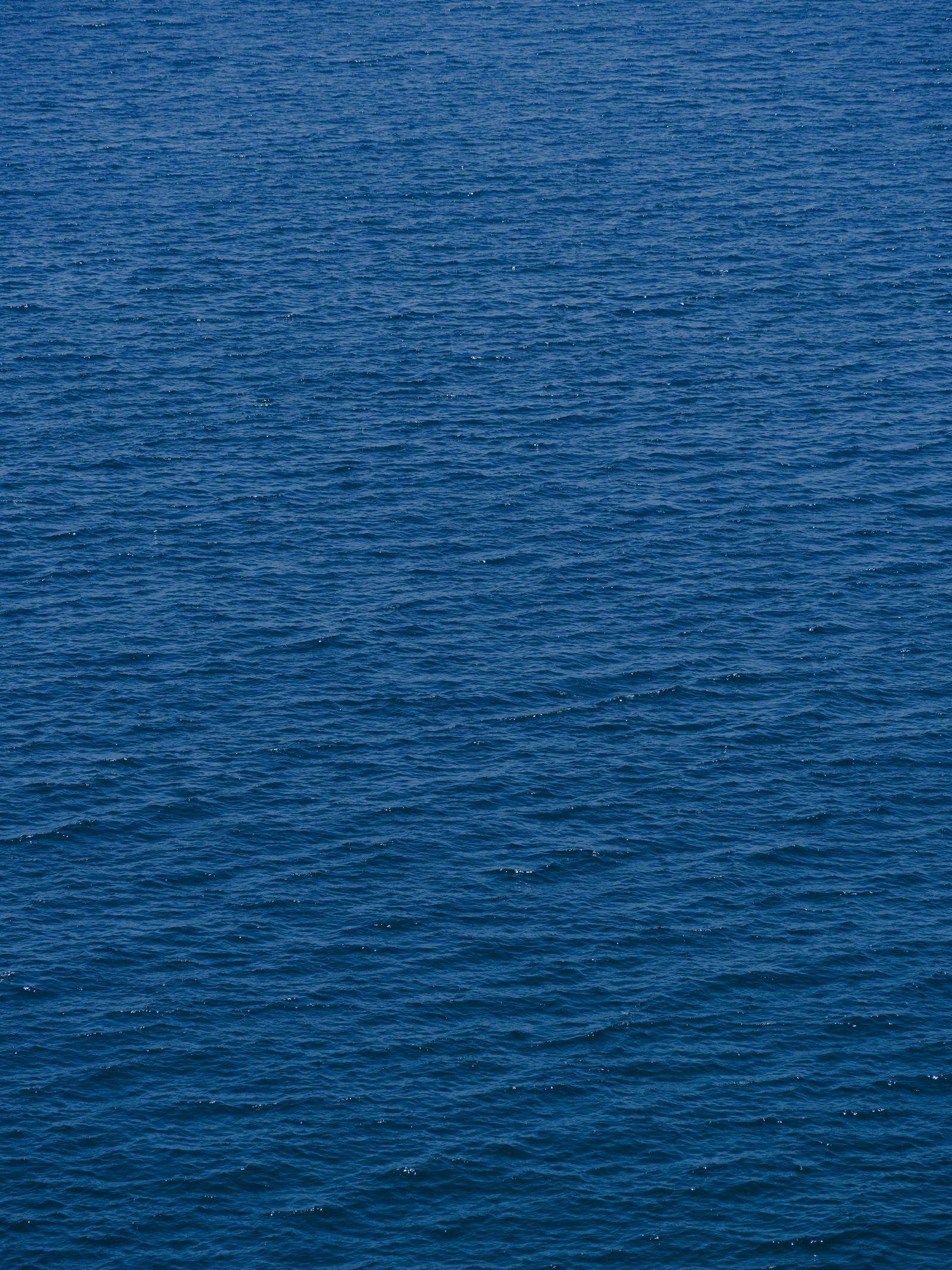 Blick über die Bodenseeregion